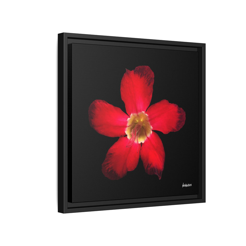 Passion in Bloom Framed - 16X16