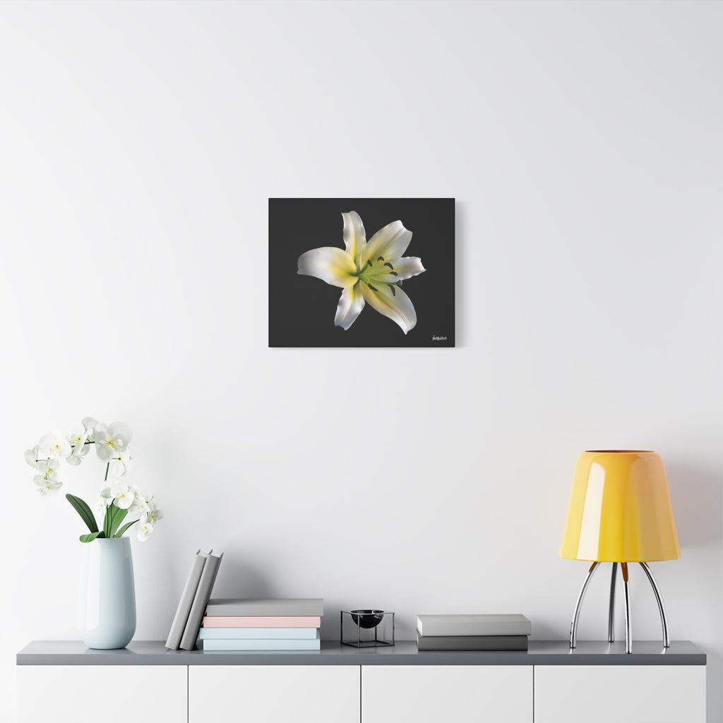 Nature's Paradise - 20X16