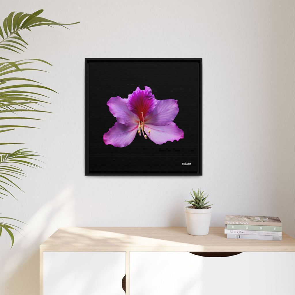 Listening Petals Framed - 24X24