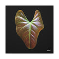 Heart of Earthlight - 30X30