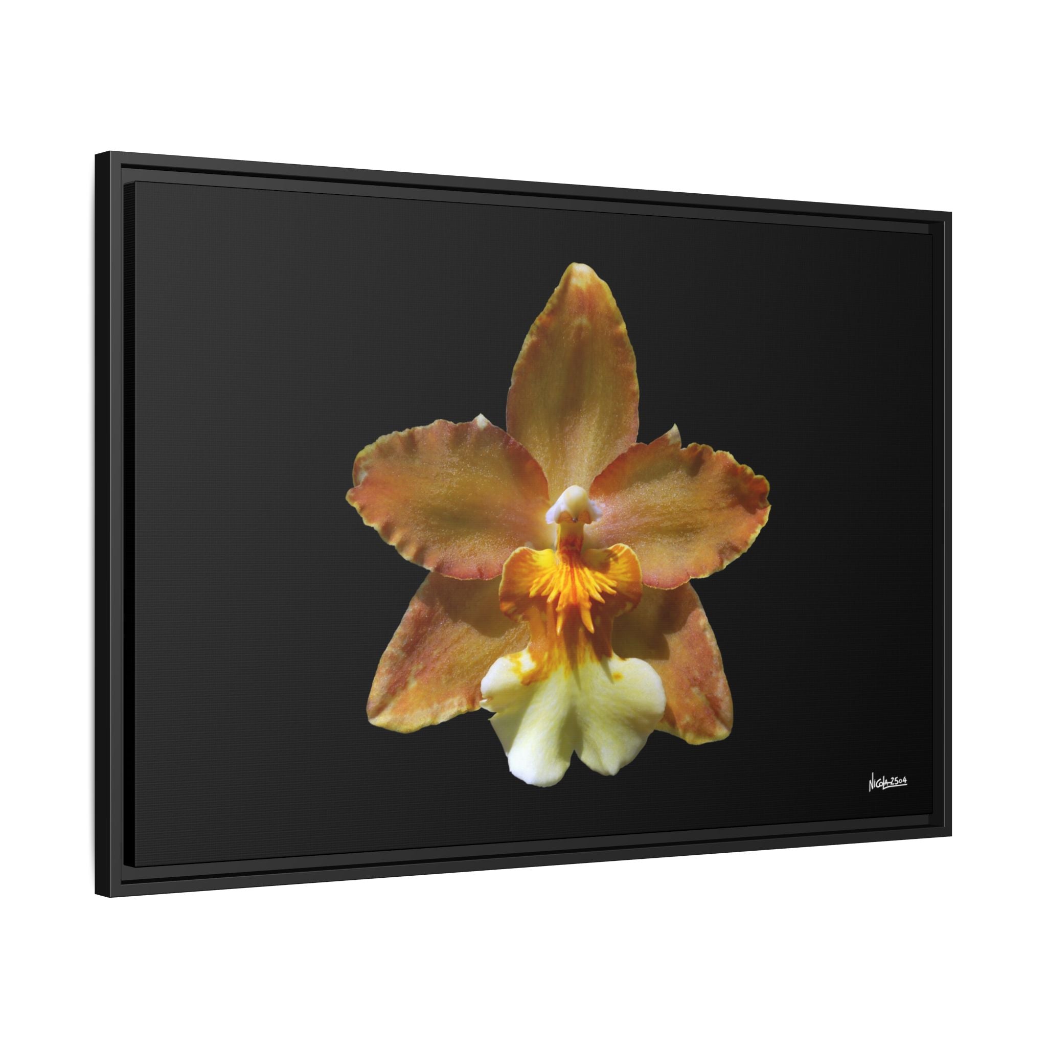 Golden Harmony Framed - 36X24