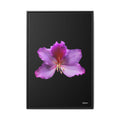 Listening Petals Framed - 24X36