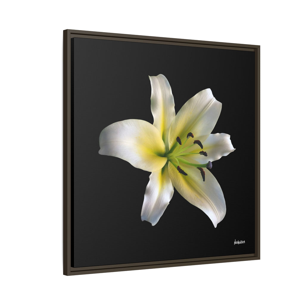 Nature's Paradise Framed - 30X30