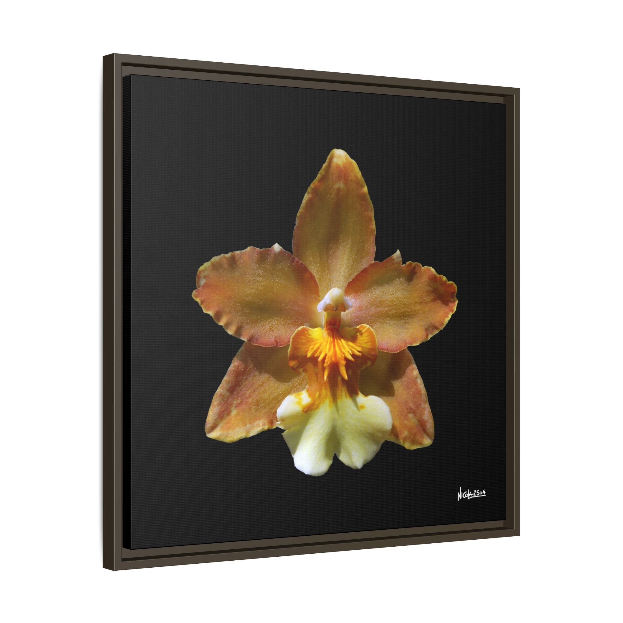 Golden Harmony Framed - 24X24