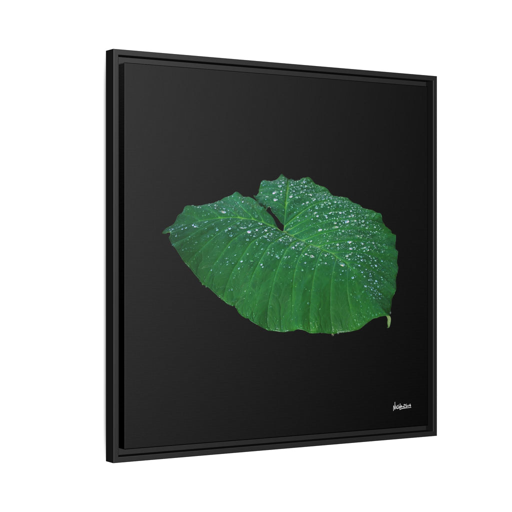 Blessing of the Rain Framed - 30X30
