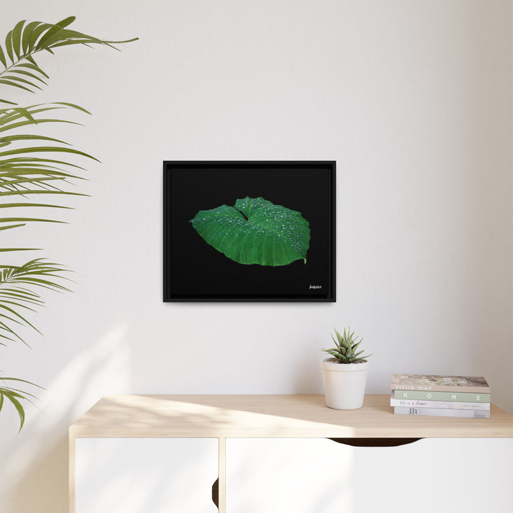 Blessing of the Rain Framed - 20X16