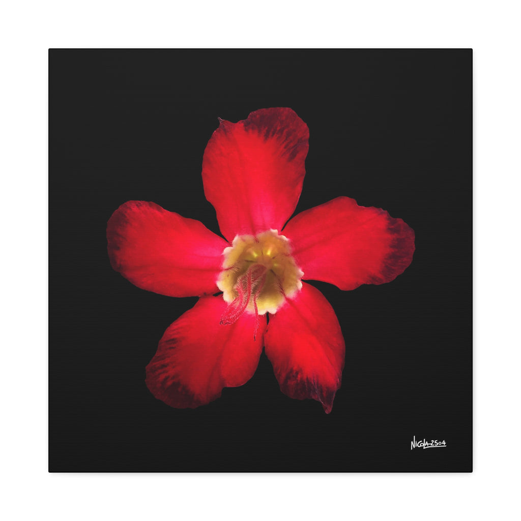 Passion in Bloom - 24X24