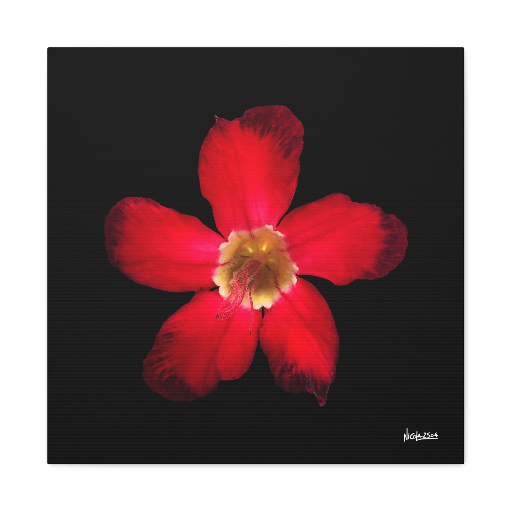 Passion in Bloom - 24X24