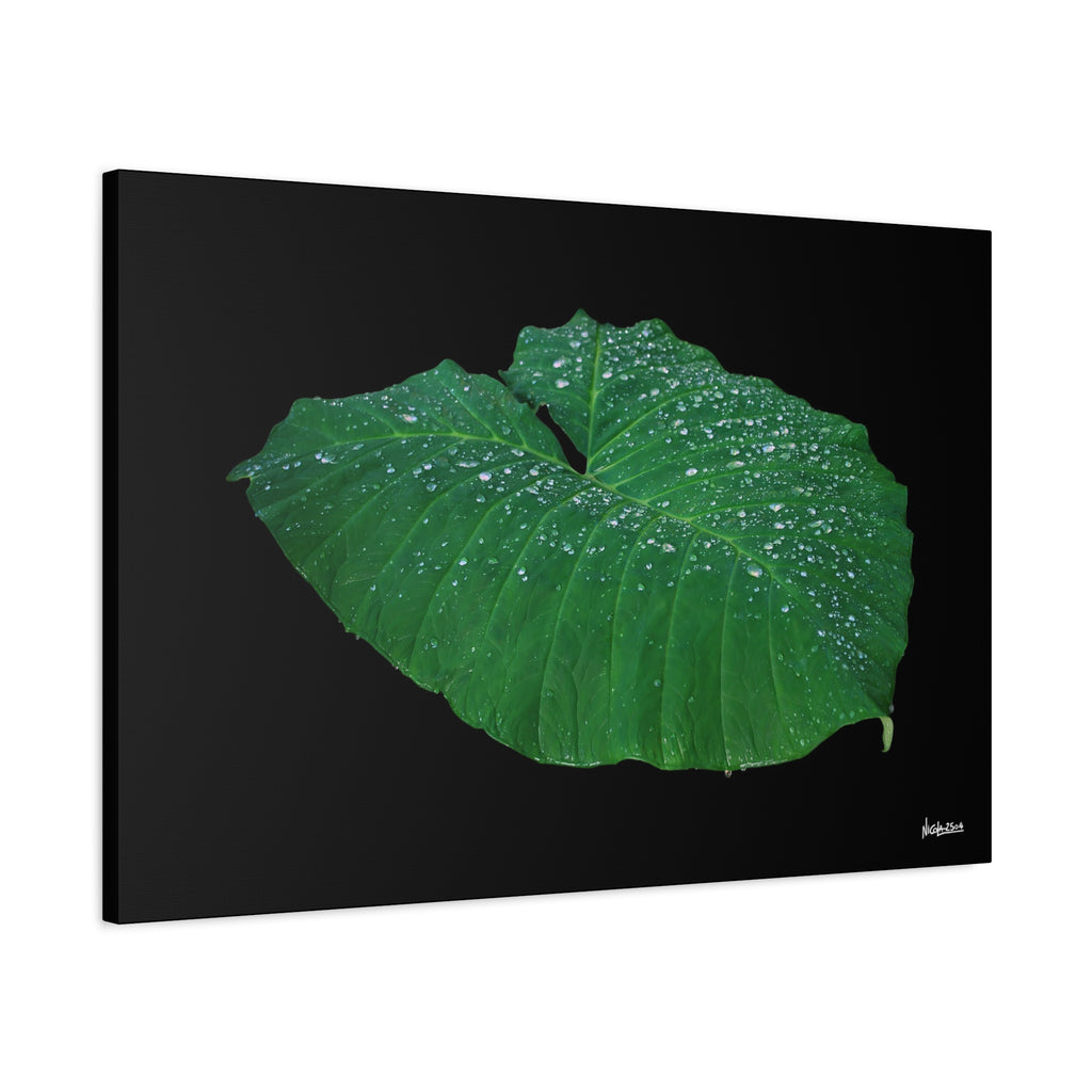 Blessing of the Rain - 36X24