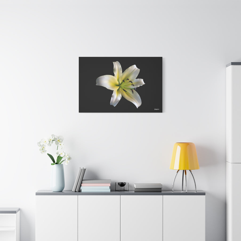 Nature's Paradise - 36X24
