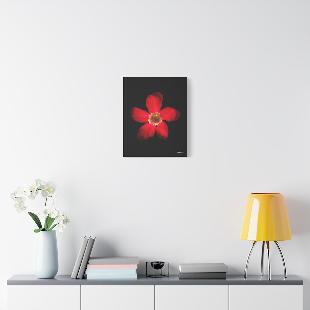 Passion in Bloom - 16X20