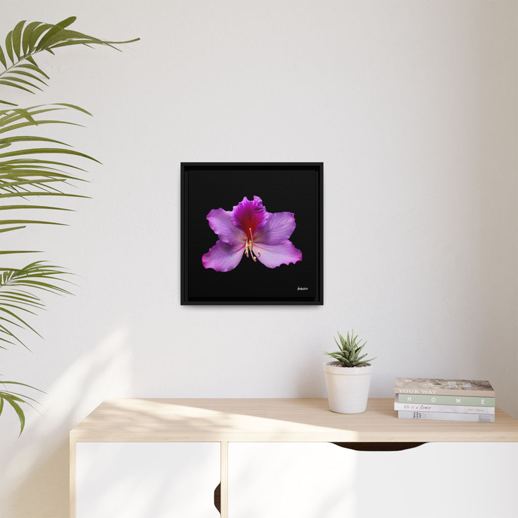 Listening Petals Framed - 16X16