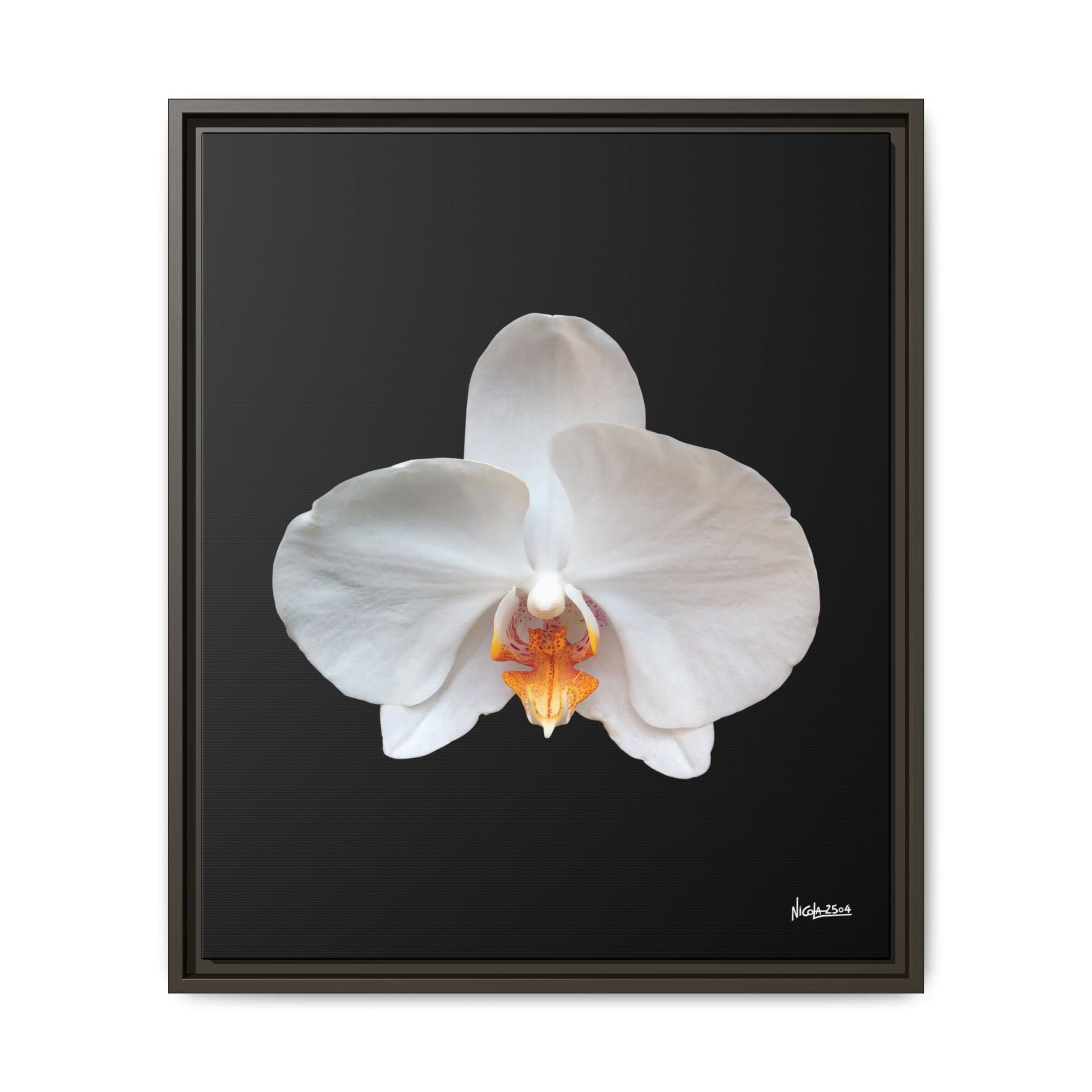 Whispers of the Unseen Framed - 20X24