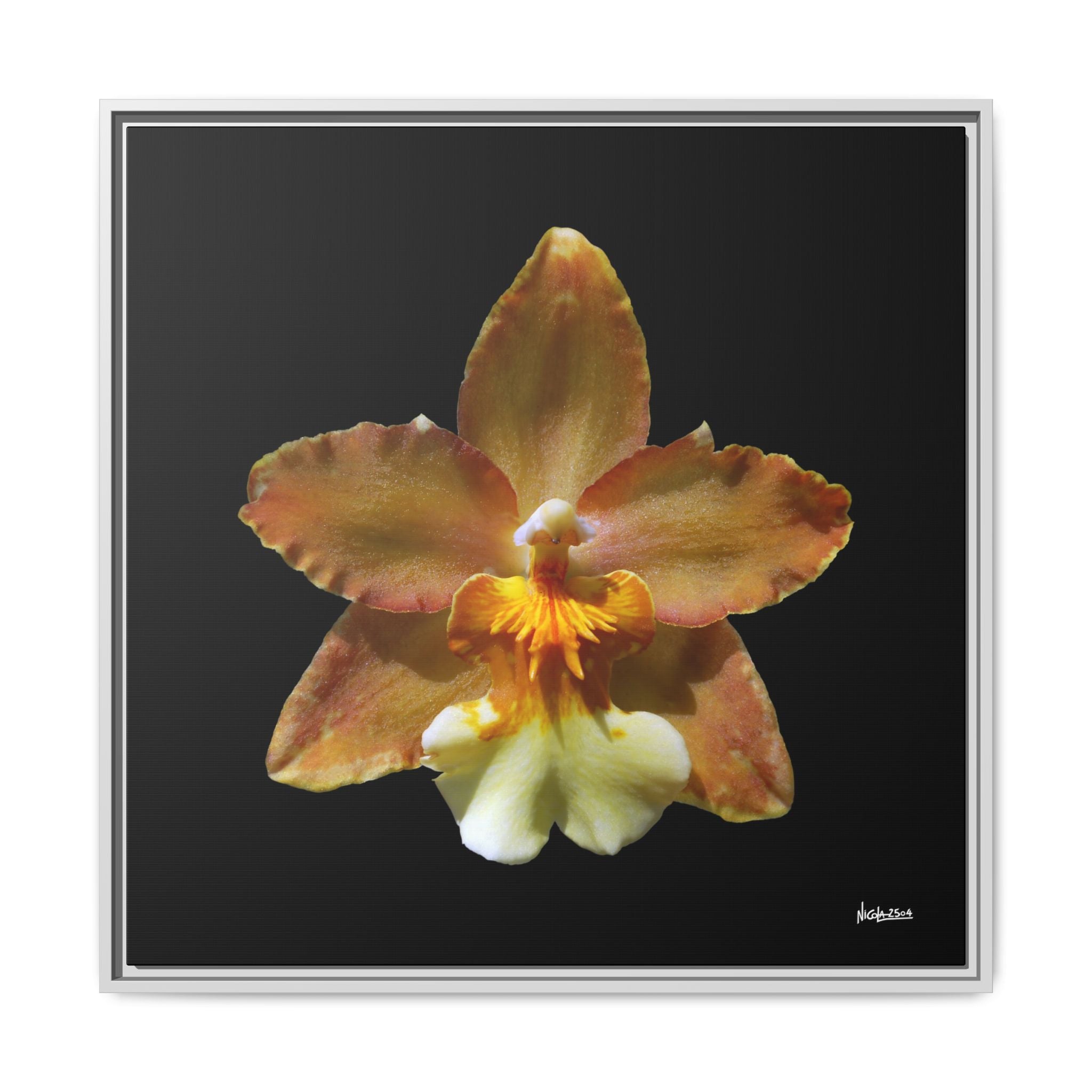 Golden Harmony Framed - 30X30