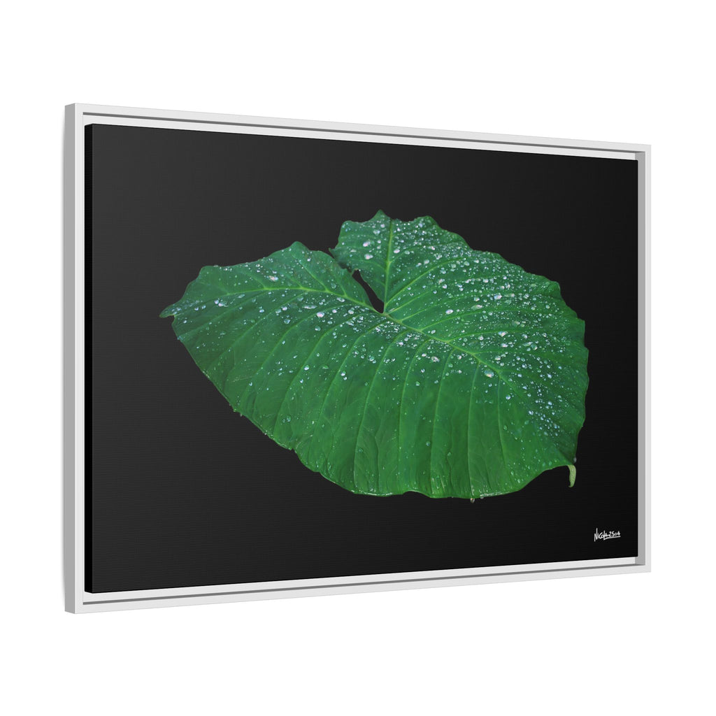 Blessing of the Rain Framed - 36X24