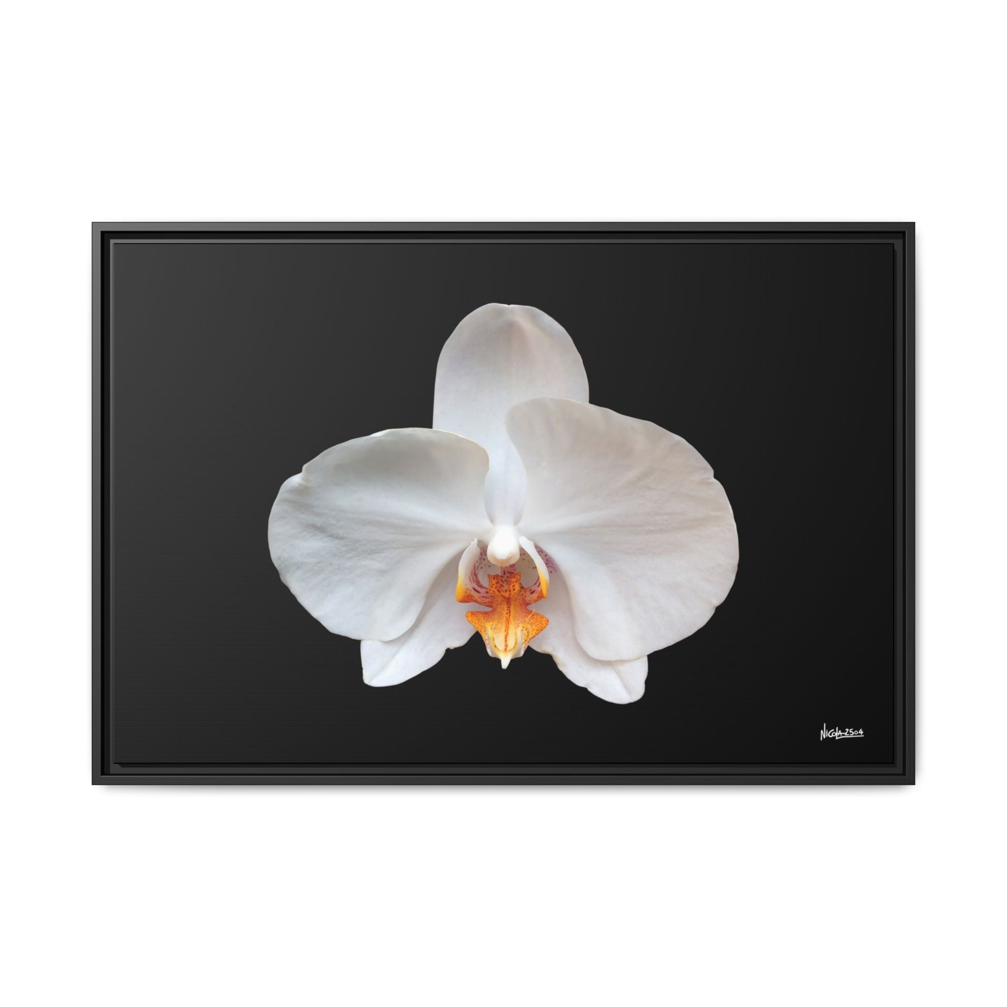 Whispers of the Unseen Framed - 36X24