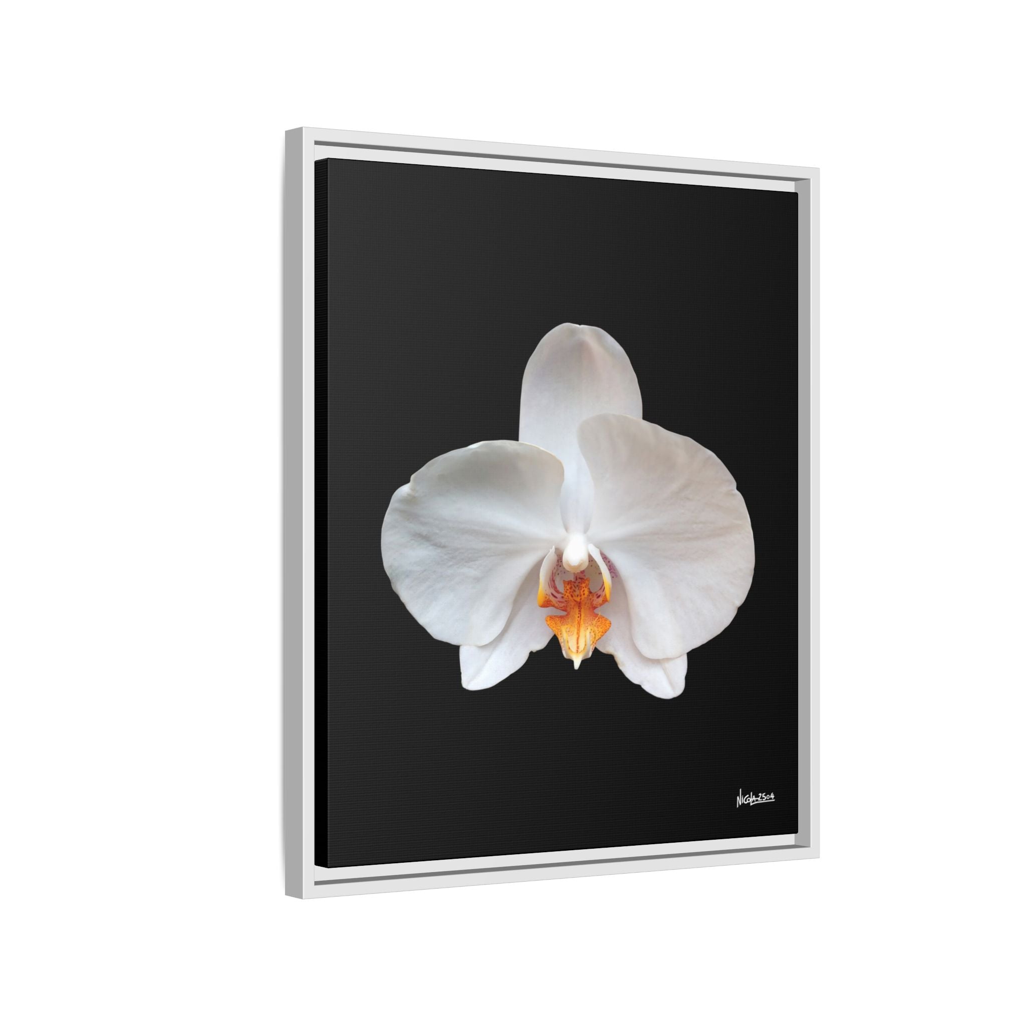 Whispers of the Unseen Framed - 20X24