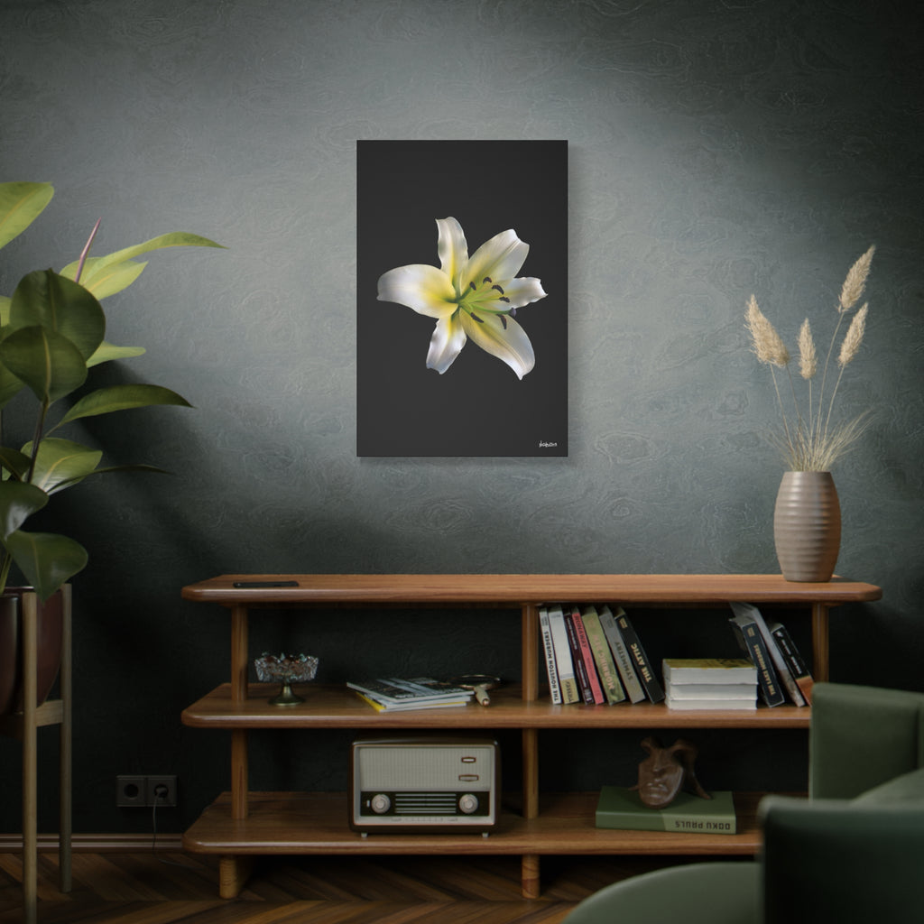 Nature's Paradise - 24X36