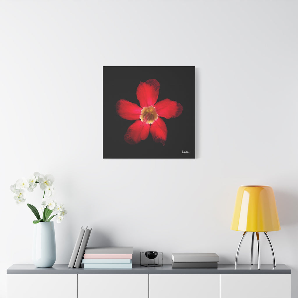 Passion in Bloom - 24X24