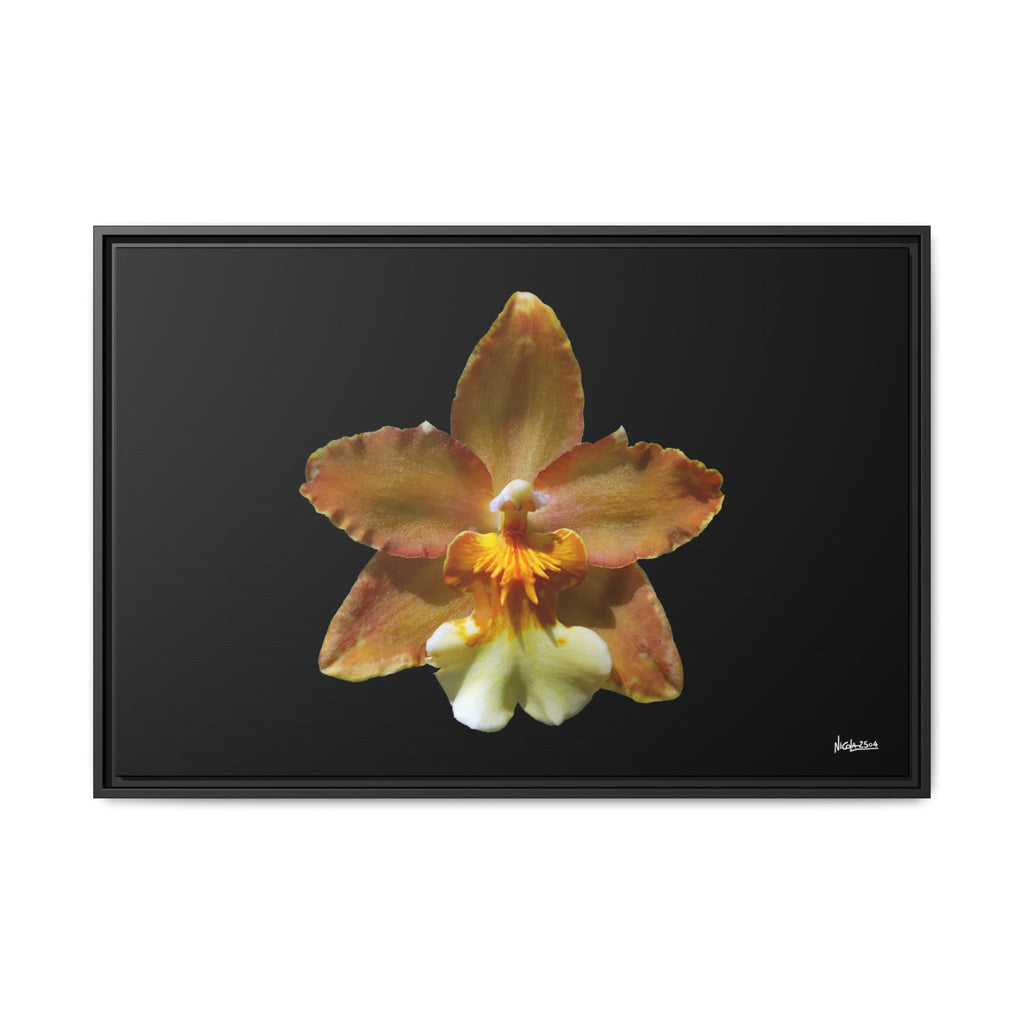Golden Harmony Framed - 36X24