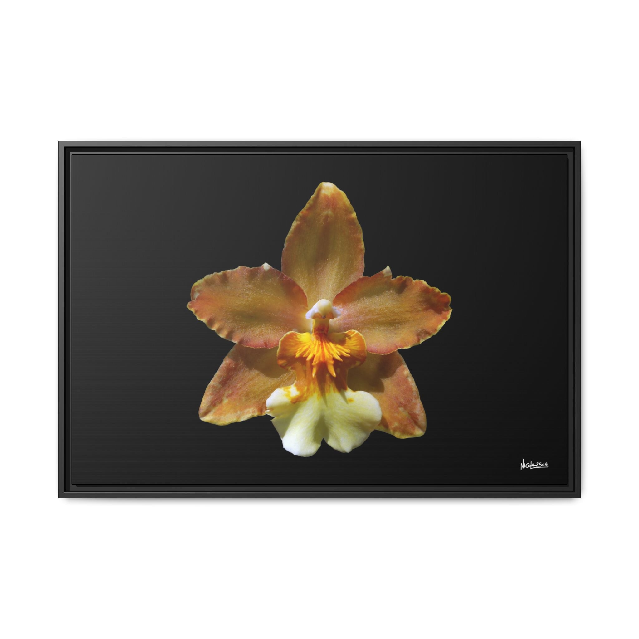 Golden Harmony Framed - 36X24