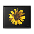 Radiant inner Sun Framed - 20X16