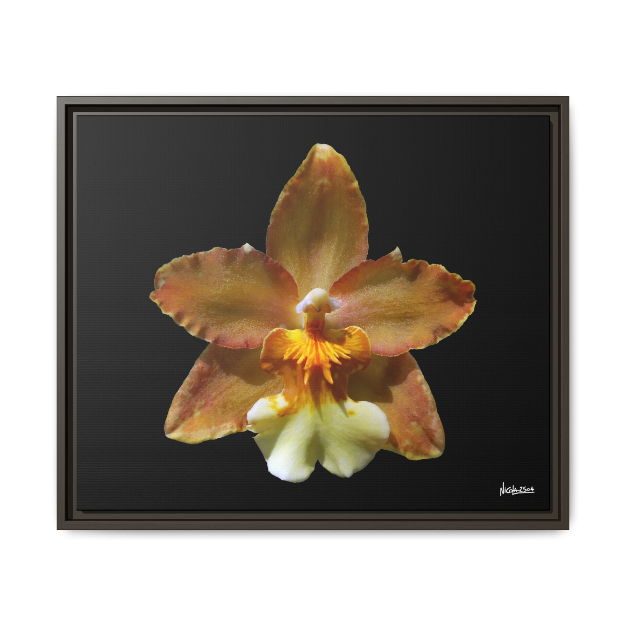 Golden Harmony Framed - 24X20