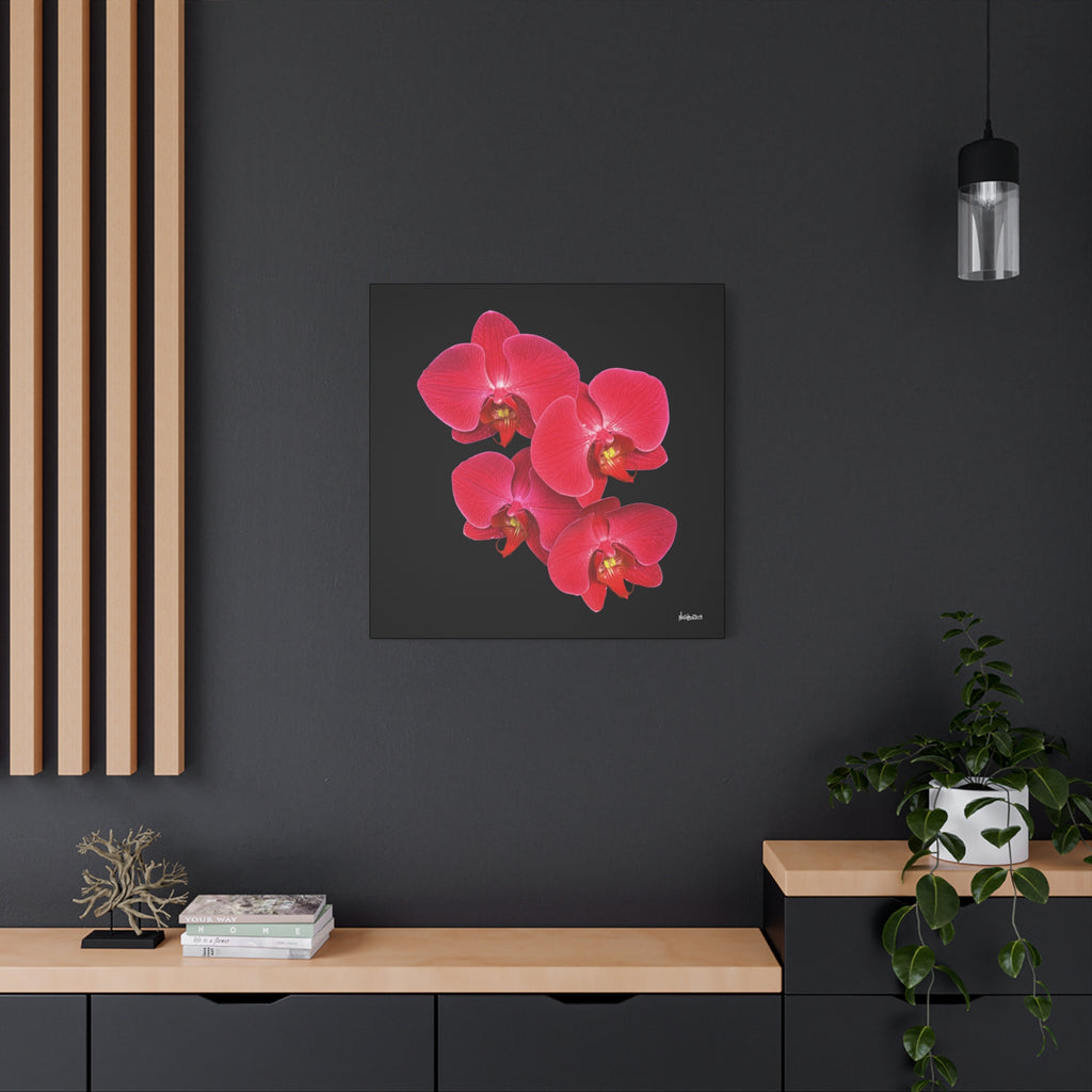 Legacy in Bloom - 30X30
