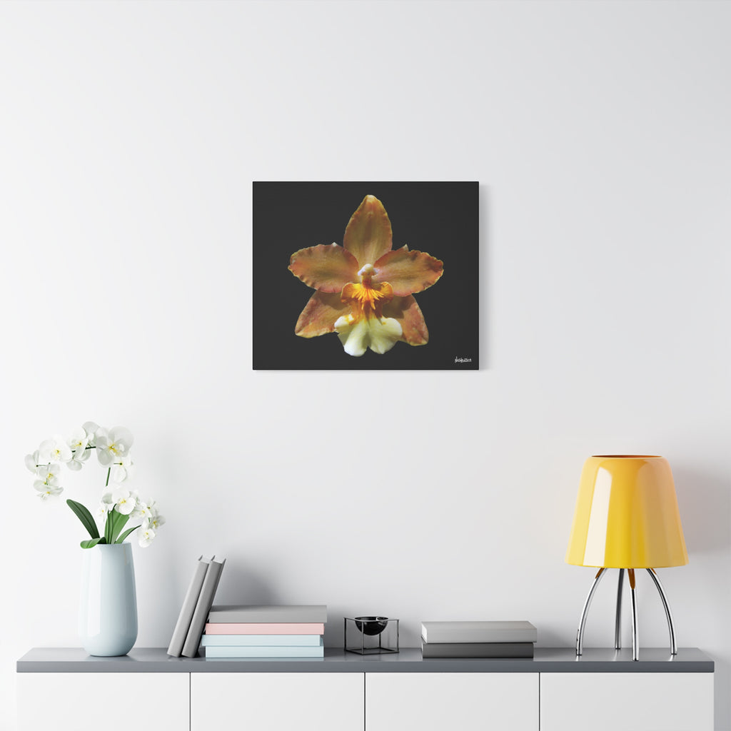 Golden Harmony - 24X20