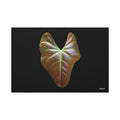 Heart of Earthlight - 36X24