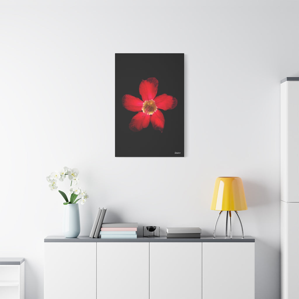Passion in Bloom - 24X36
