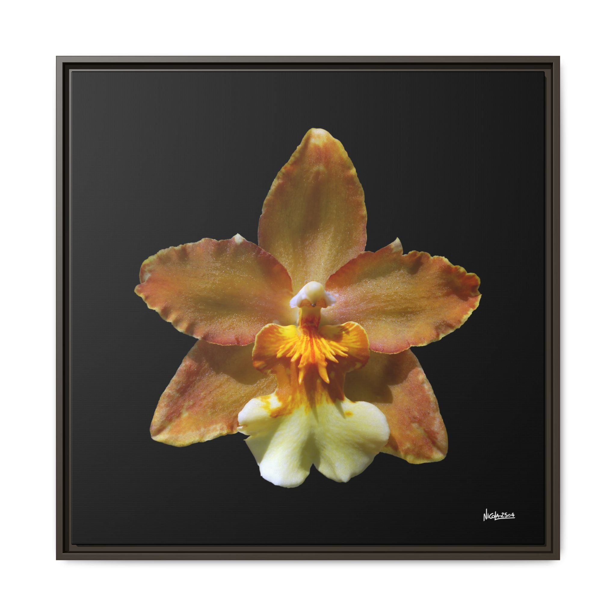 Golden Harmony Framed - 30X30