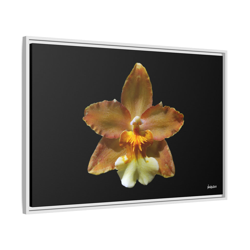 Golden Harmony Framed - 36X24