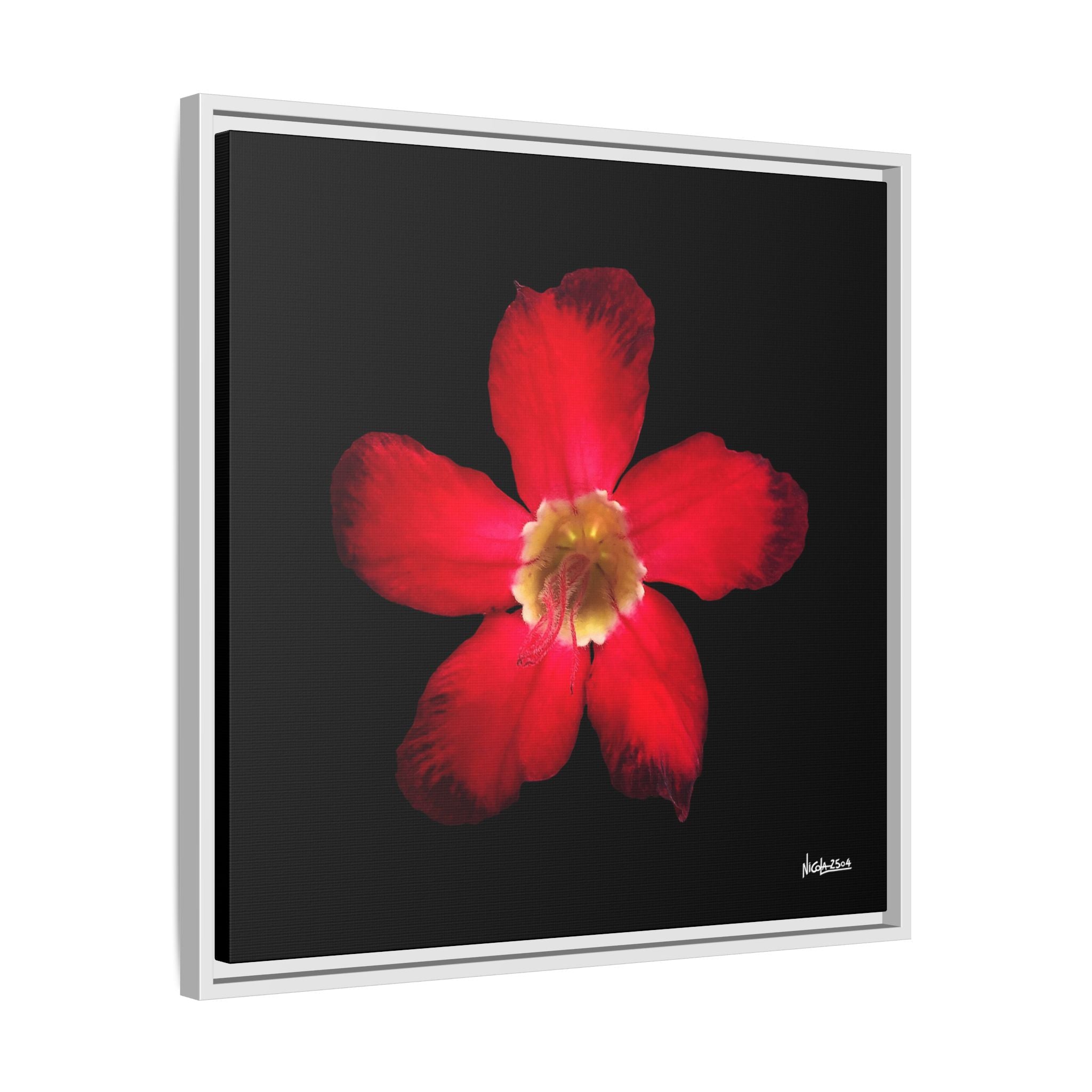 Passion in Bloom Framed - 24X24