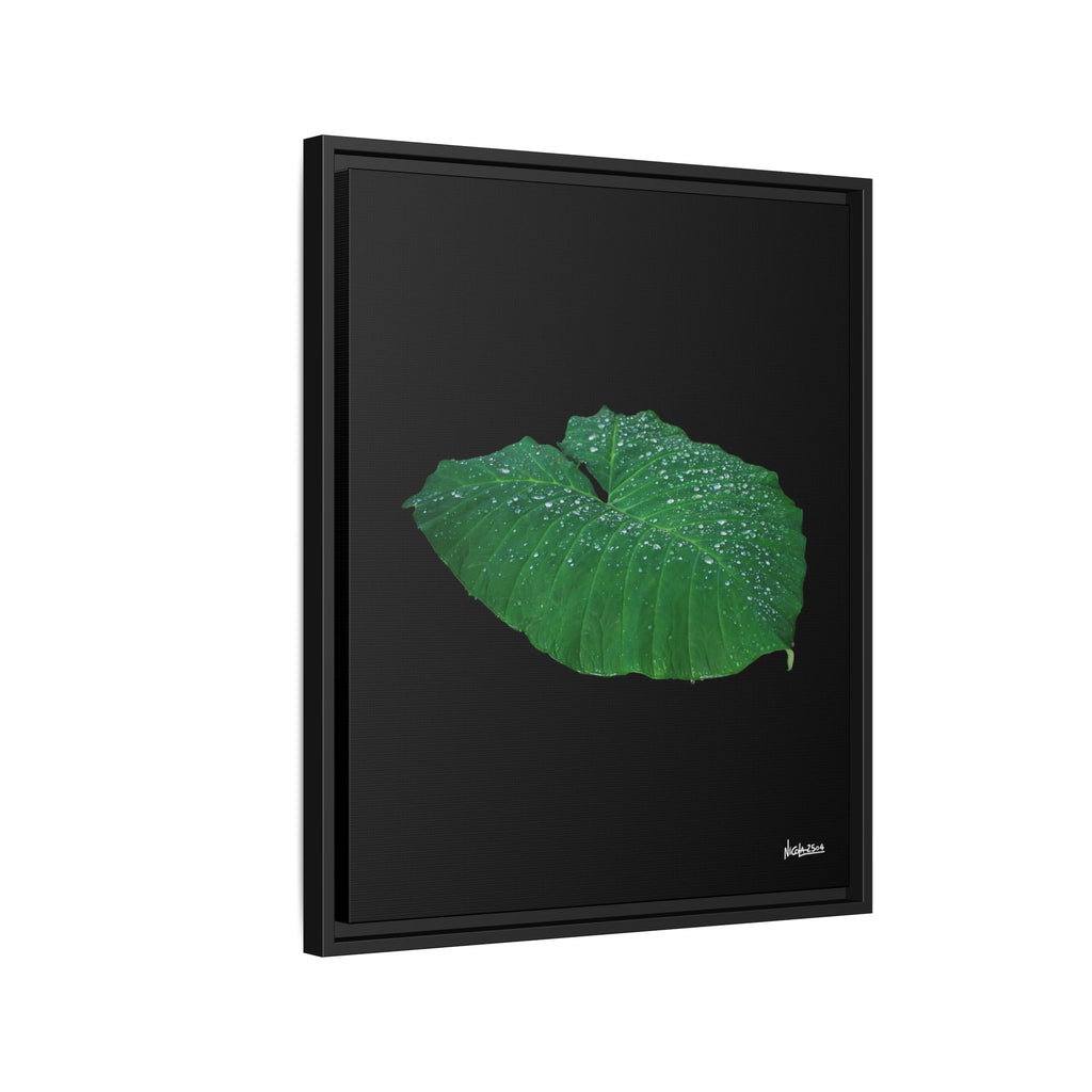 Blessing of the Rain Framed - 20X24