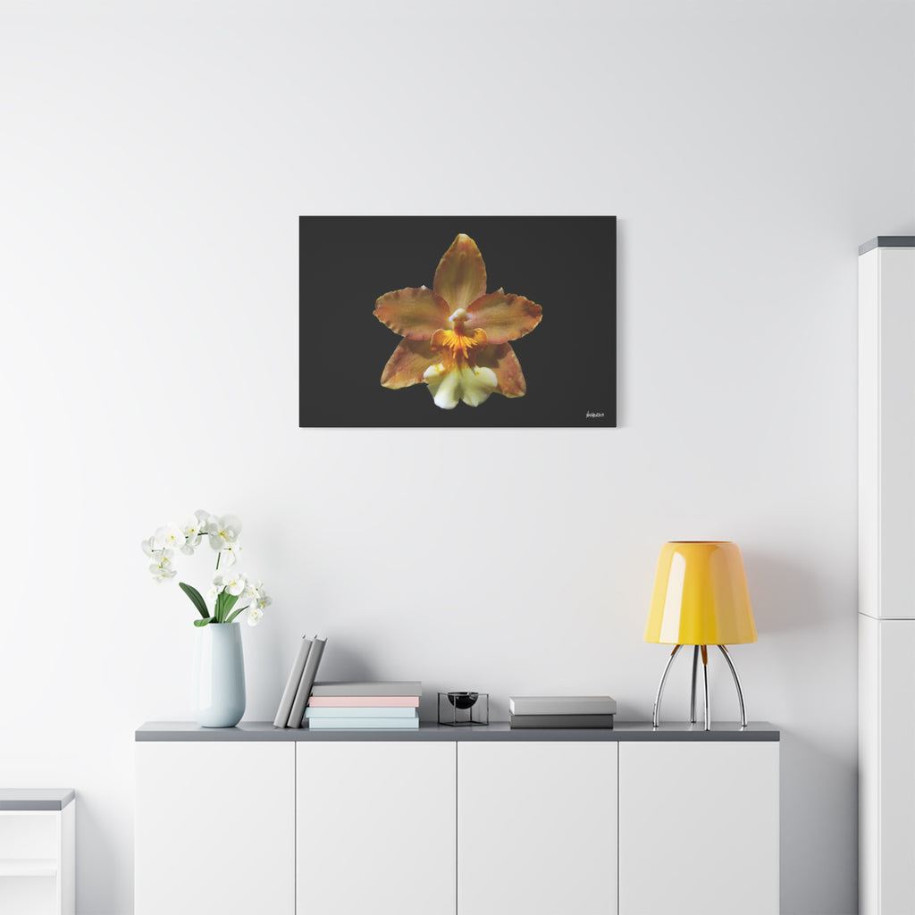 Golden Harmony - 36X24
