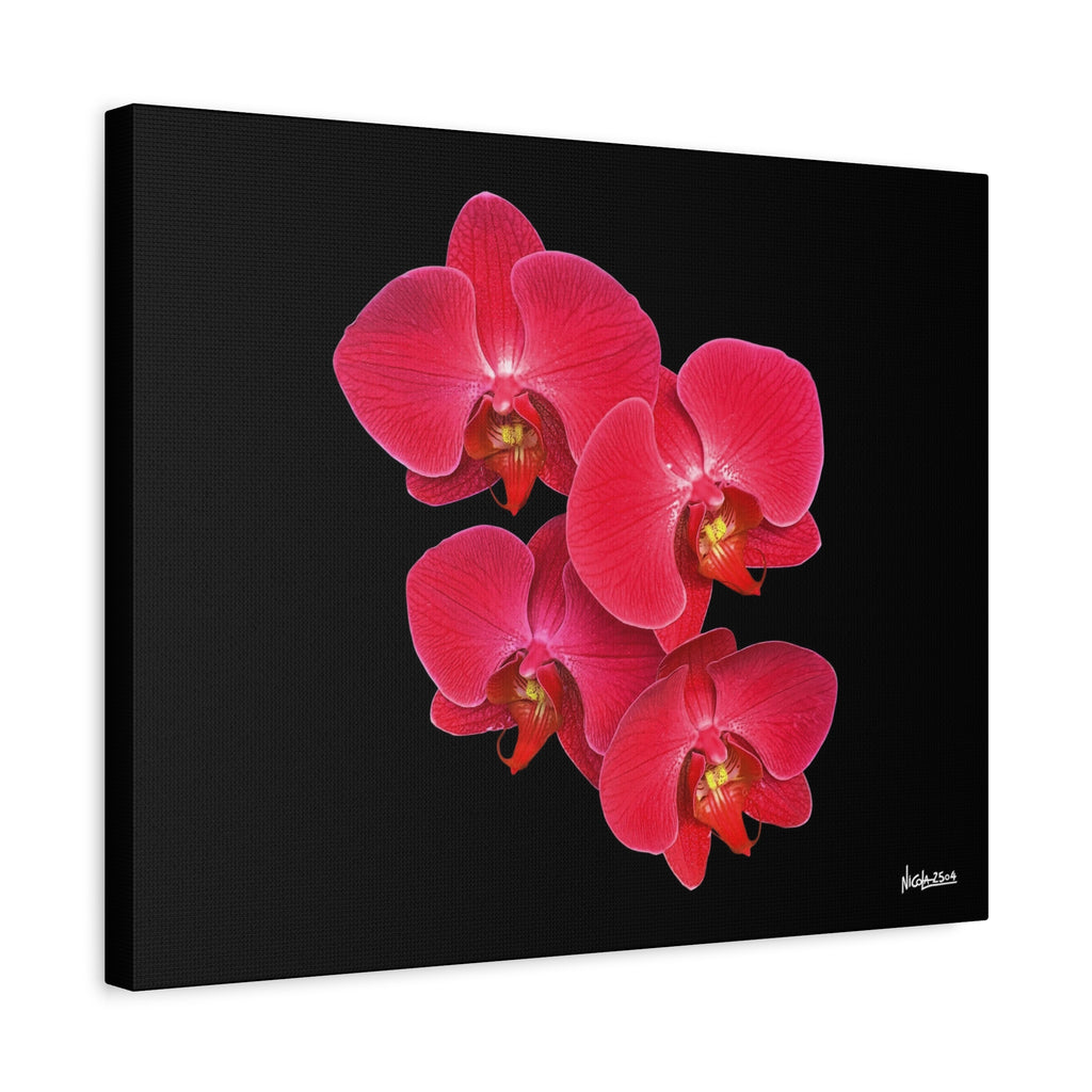 Legacy in Bloom - 20X16