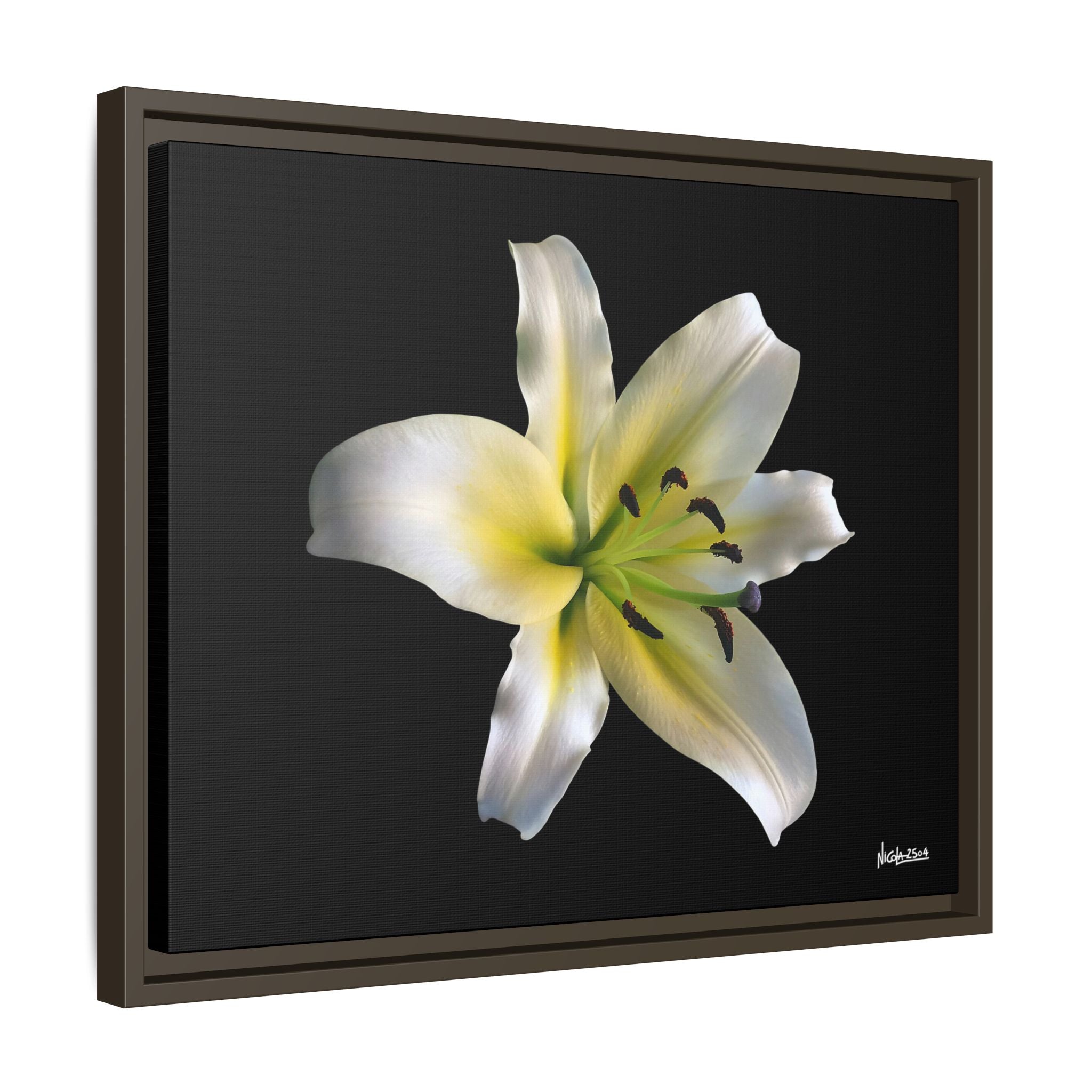 Nature's Paradise Framed - 20X16