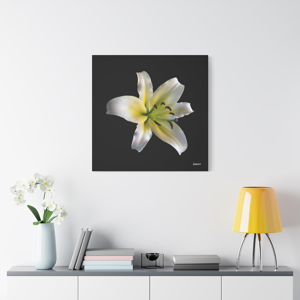 Nature's Paradise - 30X30