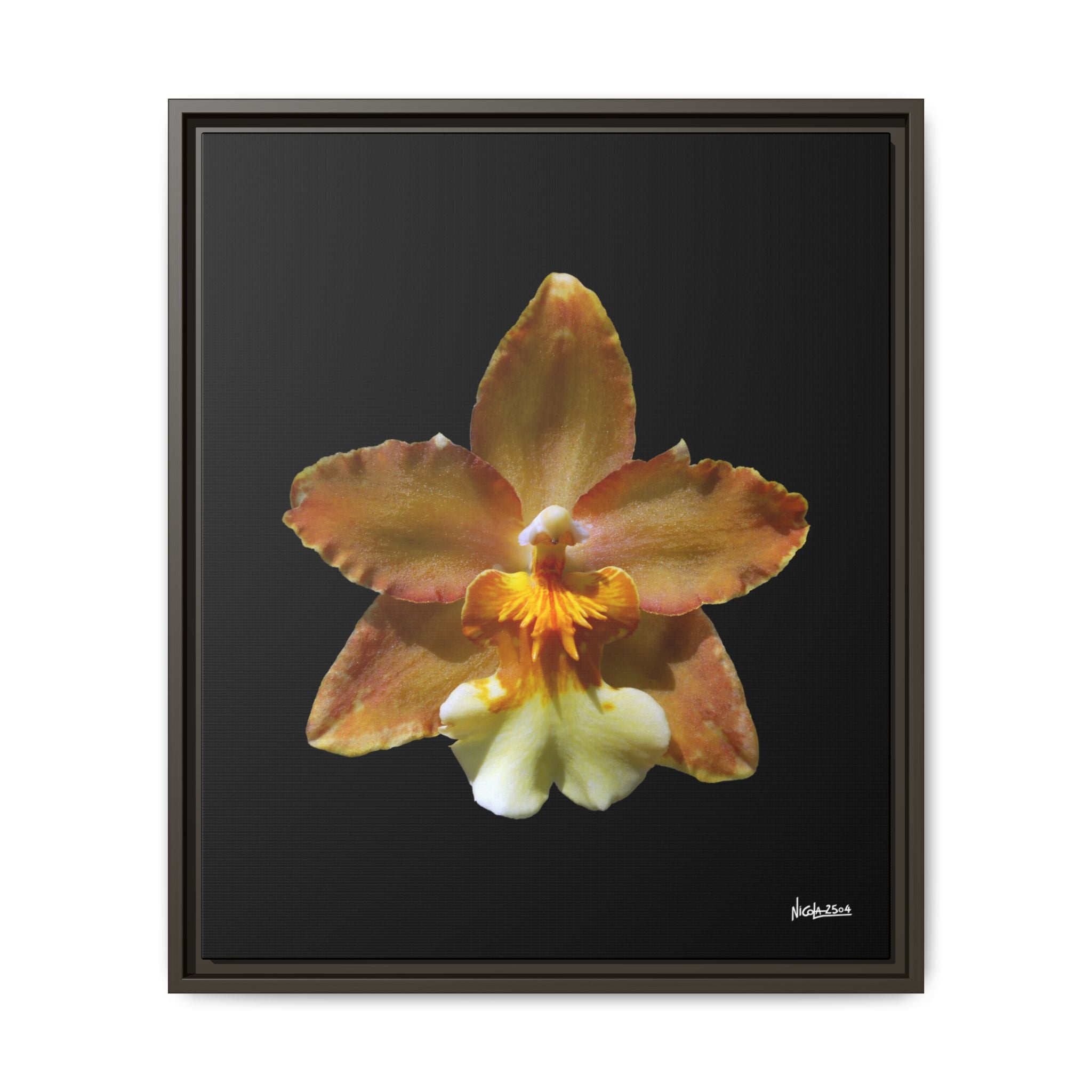 Golden Harmony Framed - 20X24