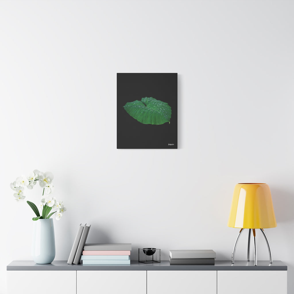 Blessing of the Rain - 16X20