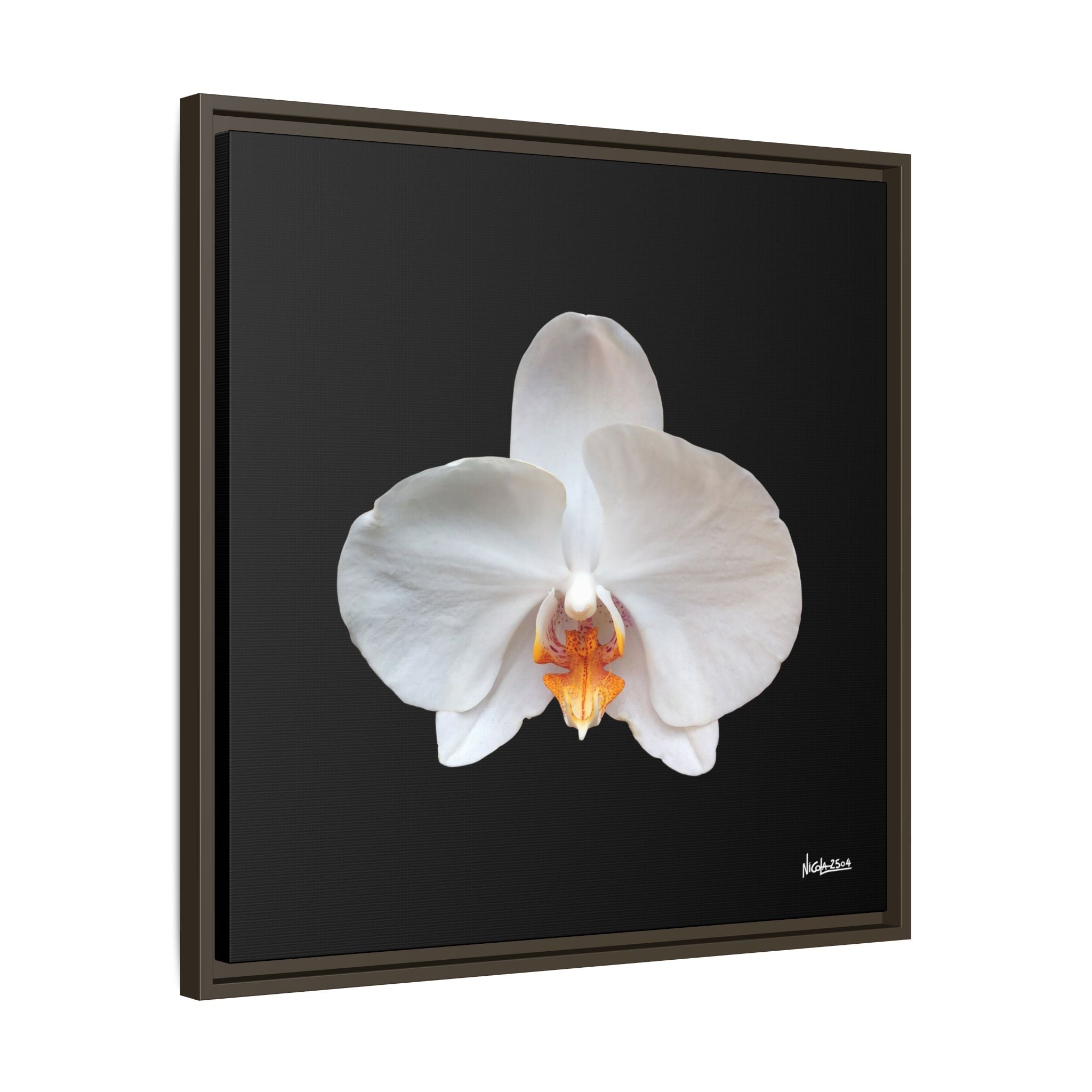 Whispers of the Unseen Framed - 24X24