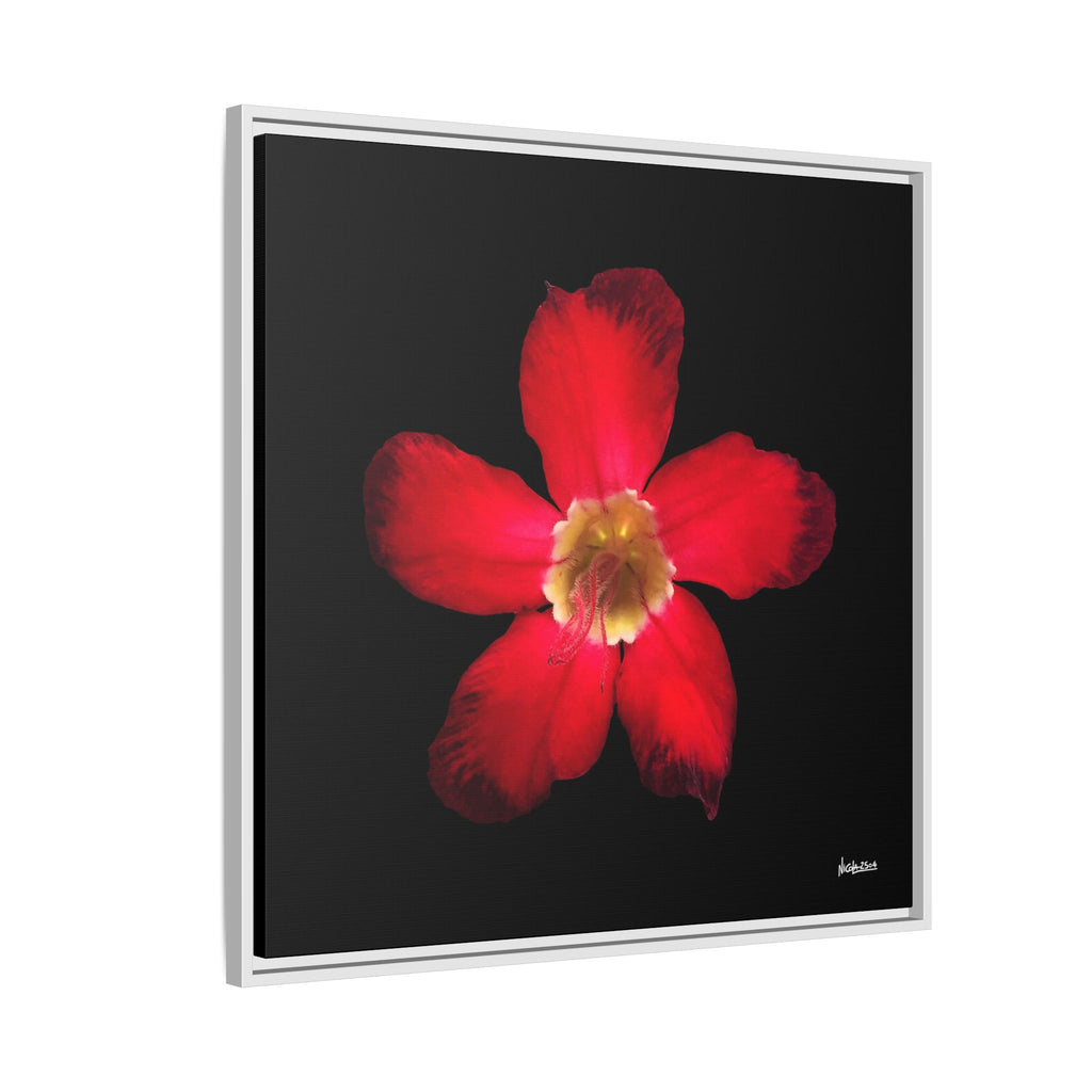 Passion in Bloom Framed - 30X30
