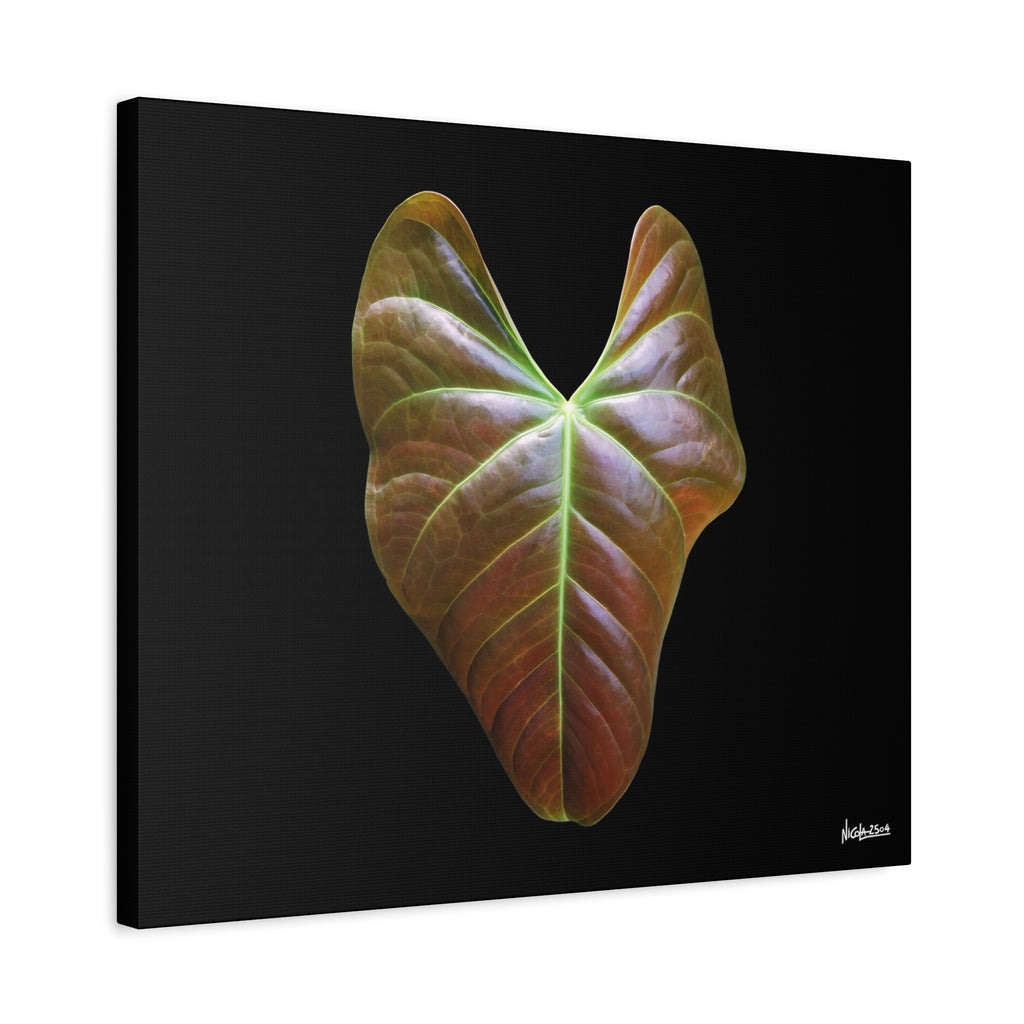 Heart of Earthlight - 24X20