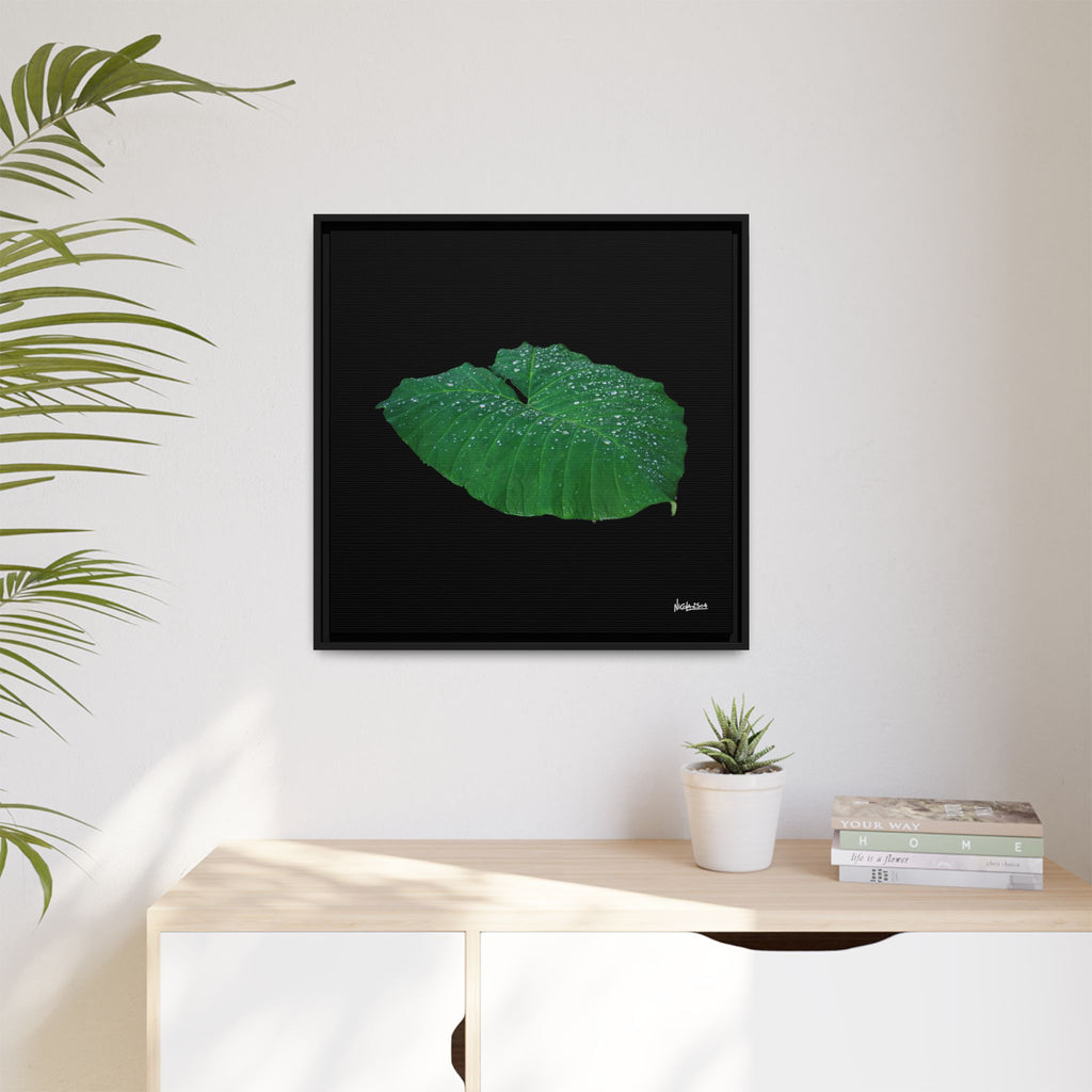 Blessing of the Rain Framed - 24X24