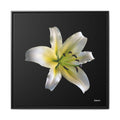Nature's Paradise Framed - 30X30