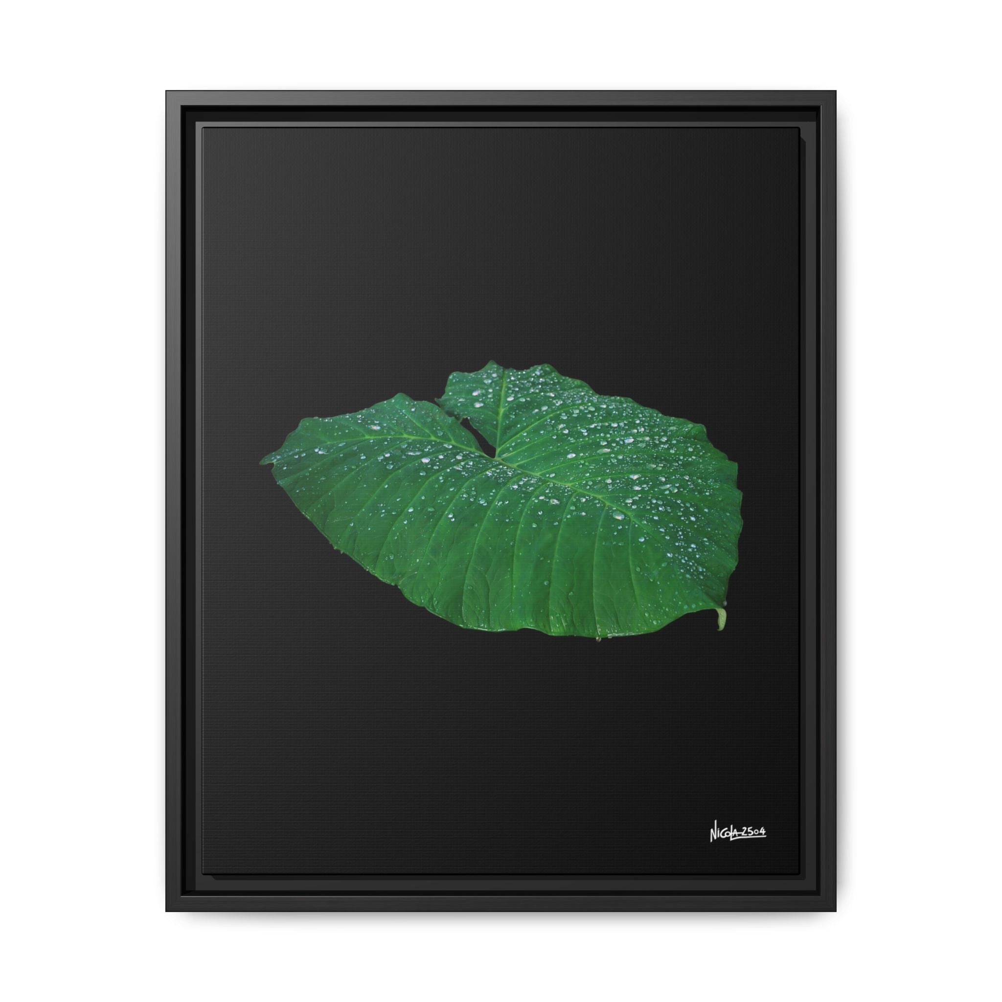 Blessing of the Rain Framed - 16X20