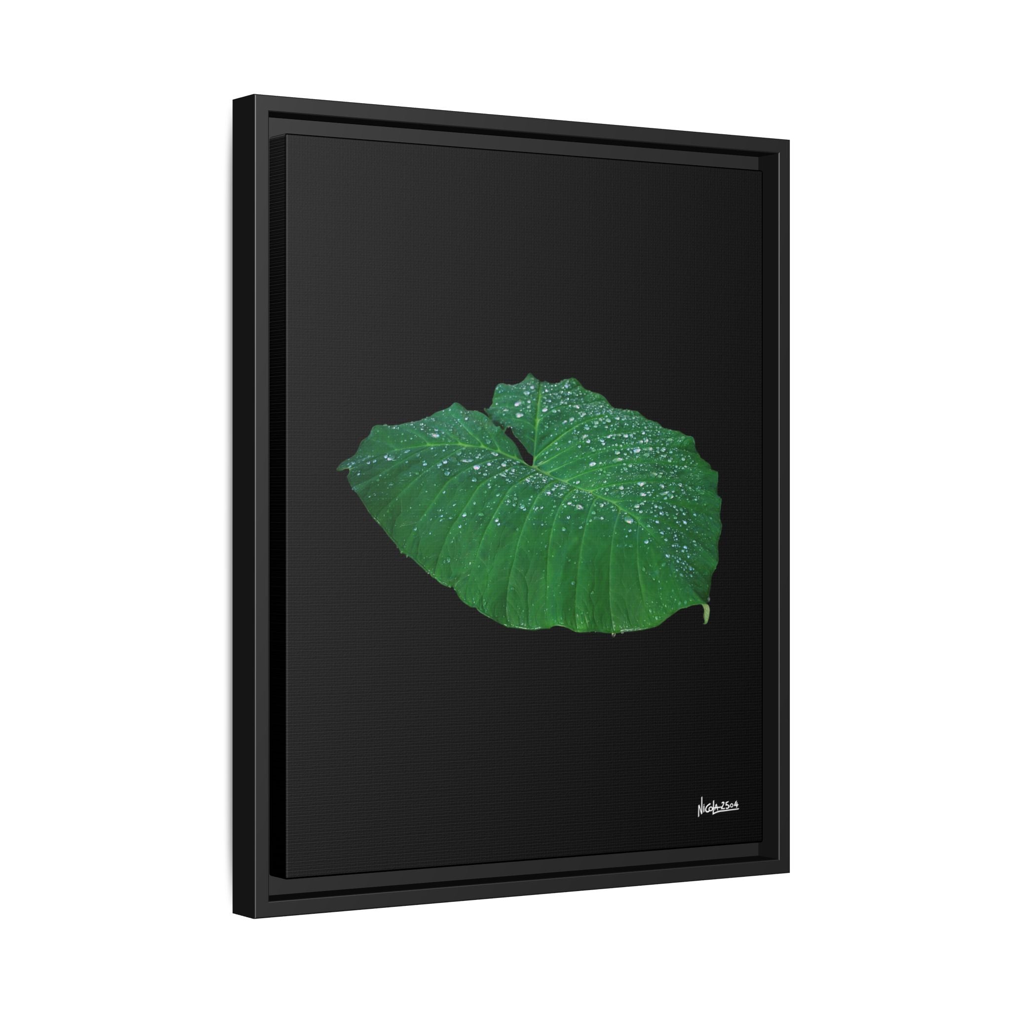 Blessing of the Rain Framed - 16X20