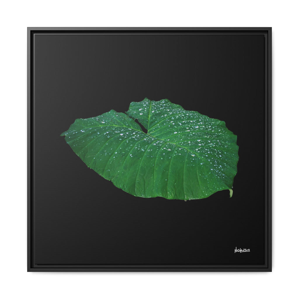 Blessing of the Rain Framed - 30X30