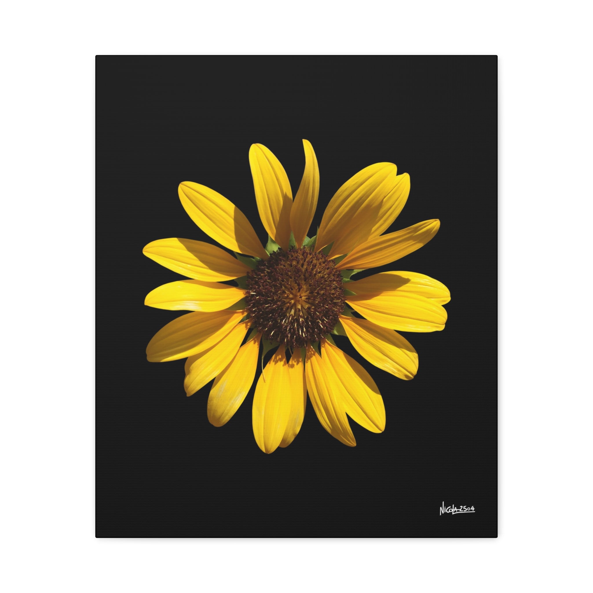 Radiant Inner Sun - 20X24